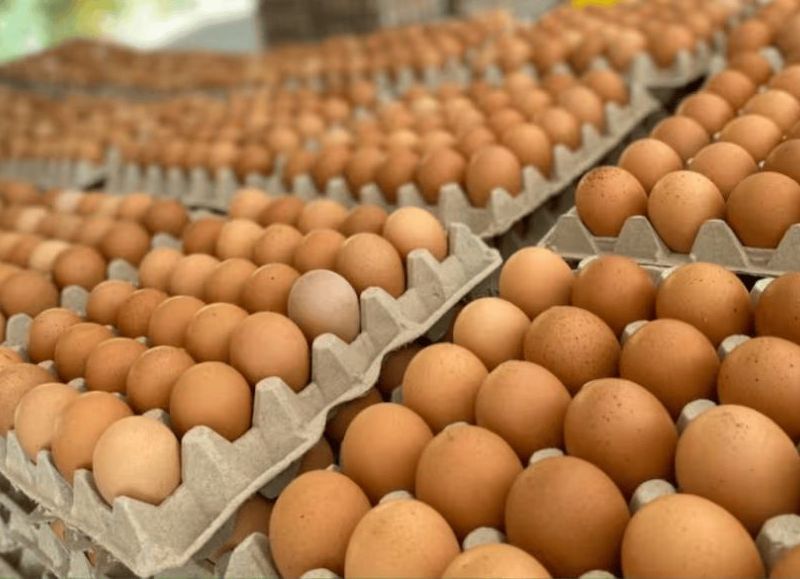 Golpe millonario en La Plata: asaltaron a una familia de hueveros y les robaron más de 150 mil dólares