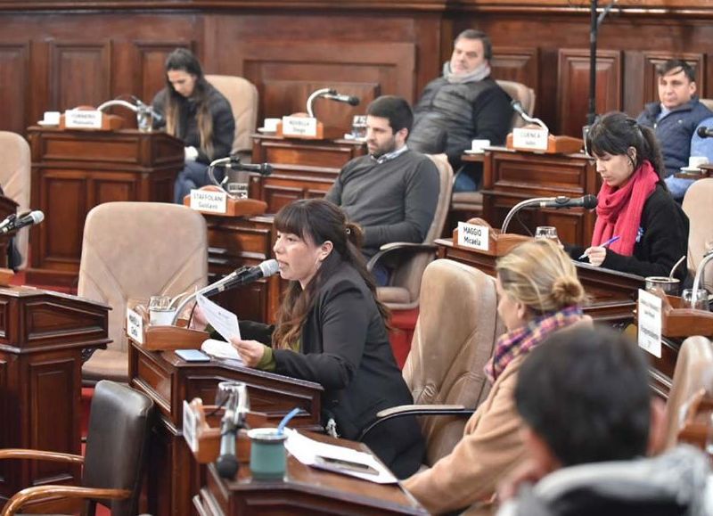 Según los argumentos del Ejecutivo, si el 70 por ciento de los vecinos de una cuadra está de acuerdo con financiar con su bolsillo el asfalto, el 30 por ciento restante de los habitantes de esa arteria también estarán obligados a hacerlo