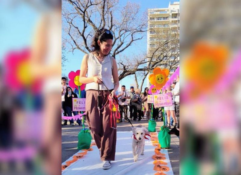 Son un grupo de mujeres, crearon una feria solidaria en Plaza Belgrano que hoy es tendencia en La Plata