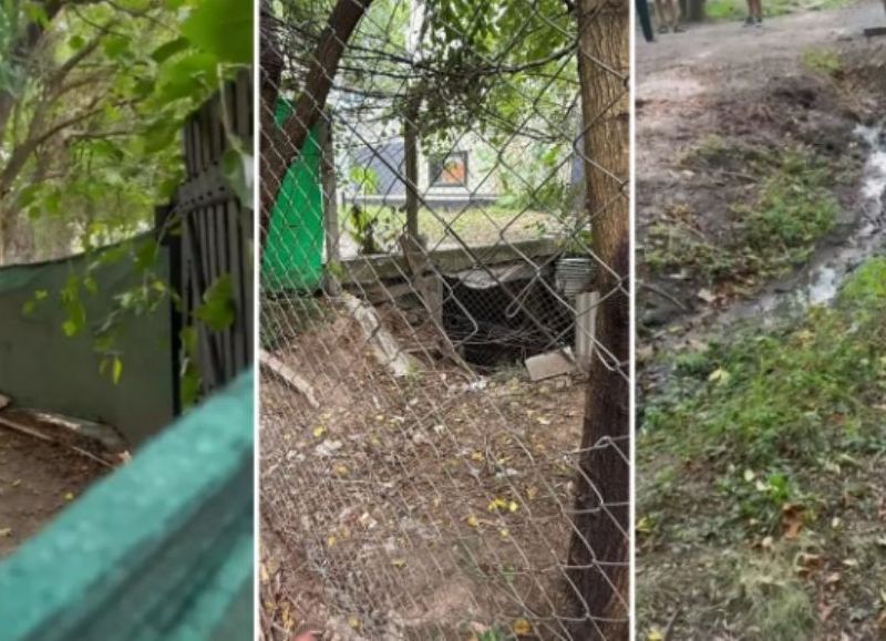 Vecino de Gonnet causa inundaciones en el barrio tras colocar portón y alambrado sobre un curso de agua