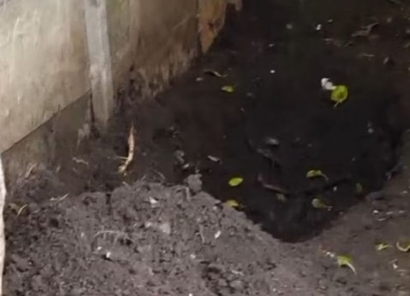 Horror en Almirante Brown: un nene de 12 años encontró el cuerpo de su madre enterrado en el patio de su casa