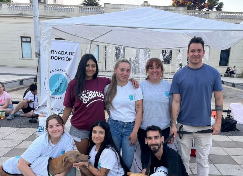 Empezaron con un perrito y hoy Rescatistas La Plata ya ayudó a más de 500 animales