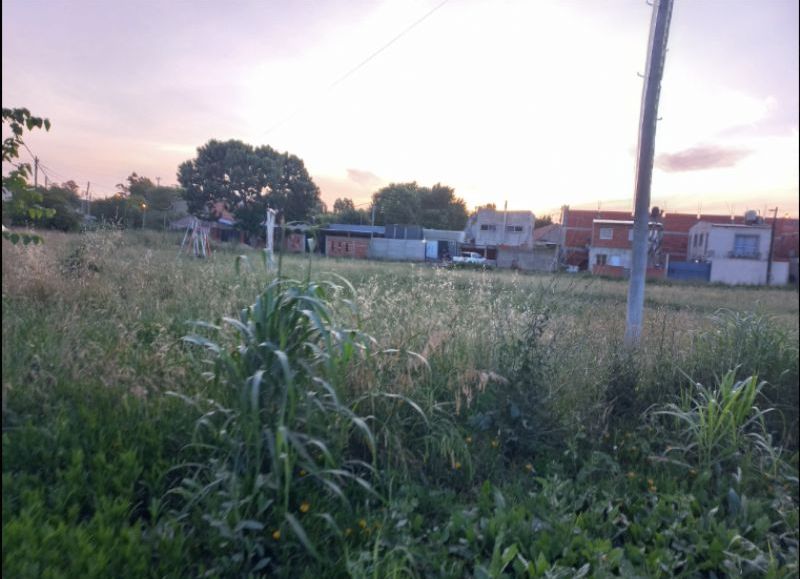 La plaza, que alguna vez fue un punto de encuentro para la comunidad, ahora es solo un espacio desolado y lleno de pastizales que superan el metro de altura, impidiendo que los residentes puedan disfrutarla.