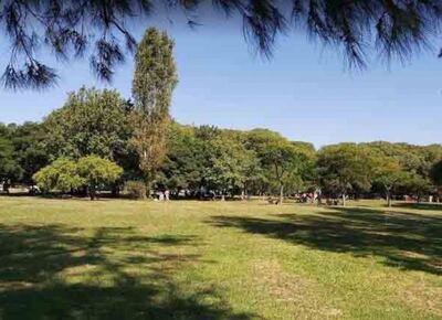 CABA: el regado millonario de Rodríguez Larreta que inunda los Bosques de Palermo