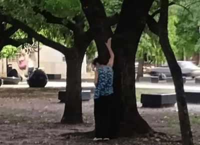 Captaron en La Plata a mujer plantando arroz con veneno y la acusan de matar perros y gatos