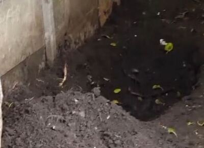 Horror en Almirante Brown: un nene de 12 años encontró el cuerpo de su madre enterrado en el patio de su casa