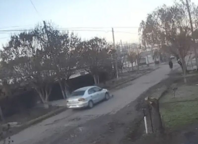 Indignación en Olmos: un remisero atropelló a un perro y huyó sin asistirlo, todo quedó filmado