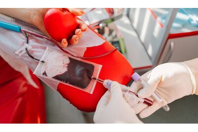 Solidaridad en La Plata: buscan diez donantes de sangre para un hombre internado en el Hospital Rossi