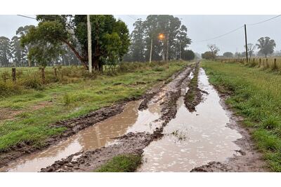 VIDEO | Ante el abandono, vecinos de la 704 de Ignacio Correas exigen soluciones a las autoridades: “Para ir a trabajar tenemos que dejar los autos y caminar”