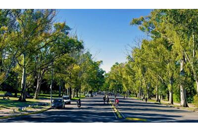 El Municipio avanza con la puesta en valor del Bosque y crece el rechazo de vecinos y comerciantes
