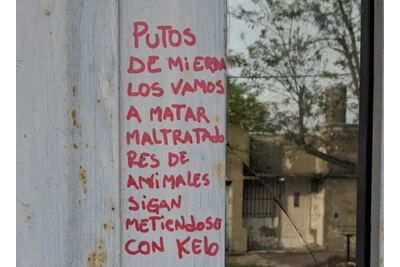 “Cuando te roba la Justicia, ¿qué hacés?”: denuncia amenazas y reclama que le devuelvan sus perros