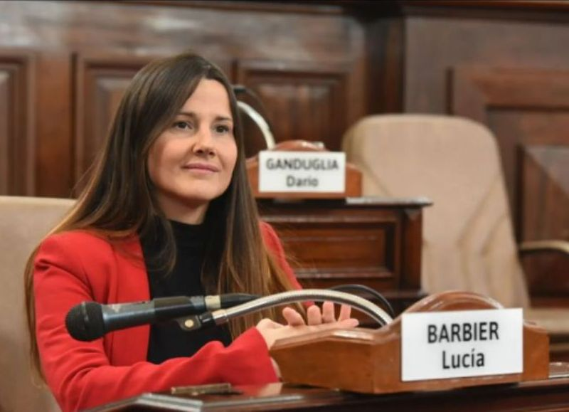Concejales del PRO piden anular aumento del 20% en tasa municipal y del 6% en alumbrado público