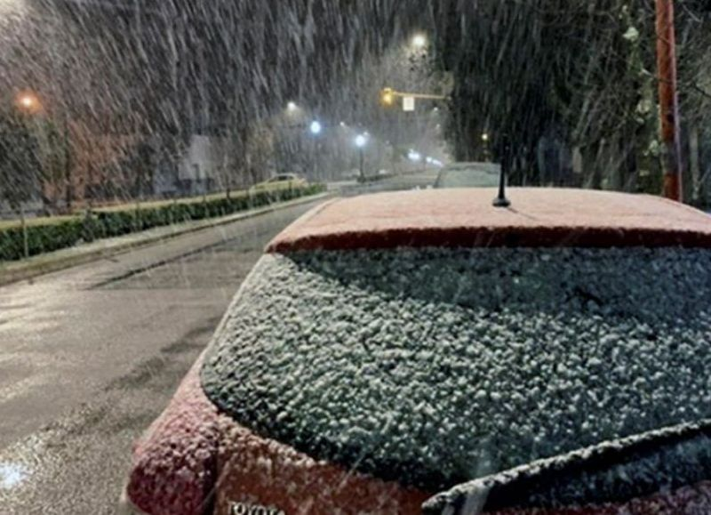 Ola polar en La Plata: temperaturas bajo cero, niebla y alerta por frío extremo