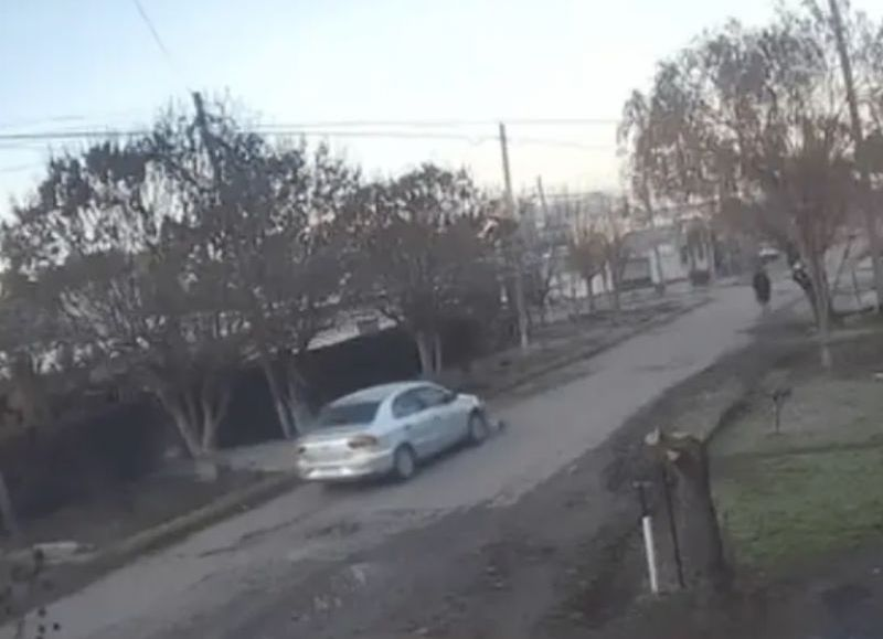 Indignación en Olmos: un remisero atropelló a un perro y huyó sin asistirlo, todo quedó filmado