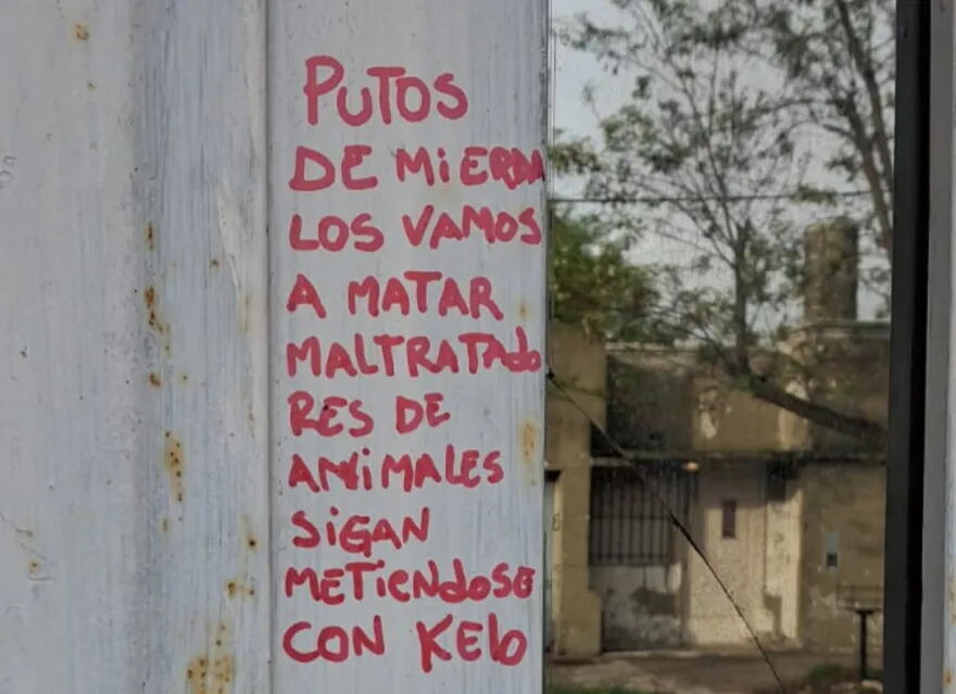 “Cuando te roba la Justicia, ¿qué hacés?”: denuncia amenazas y reclama que le devuelvan sus perros